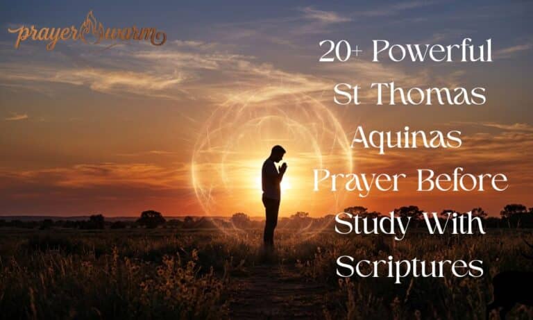 St Thomas Aquinas Prayer Before Study